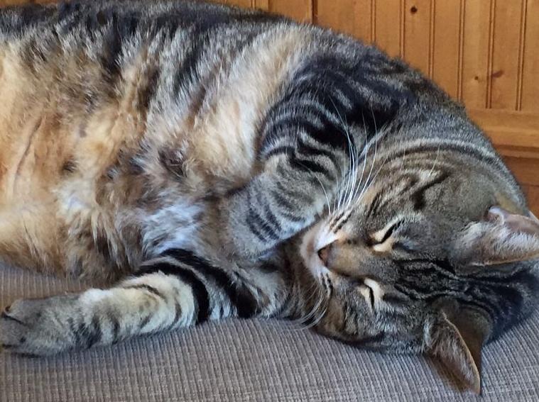 Maggie